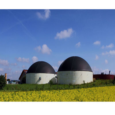 বর্জ্য জল চিকিত্সার জন্য কাস্টমাইজড ভলিউম অ্যানেরোবিক চুল্লি