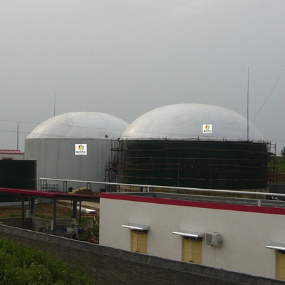 H2S বায়োগ্যাস পরিশোধন সরঞ্জাম 10ppm ওয়েট ফ্লু গ্যাস ডিসালফারাইজেশন