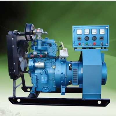 30KVA বায়োগ্যাস বিদ্যুৎ জেনারেটর 400 Kw প্রাকৃতিক গ্যাস জেনারেটর