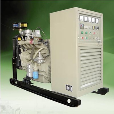 বিকল্প 100 Kw বায়োগ্যাস জেনারেটর হোম বায়োগ্যাস বৈদ্যুতিক জেনারেটর